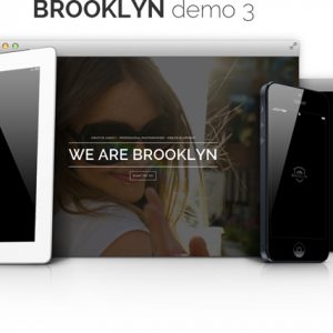 Brooklyn demo